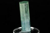 Bi-Colored Aquamarine Crystal - Transbaikalia, Russia #175645-3